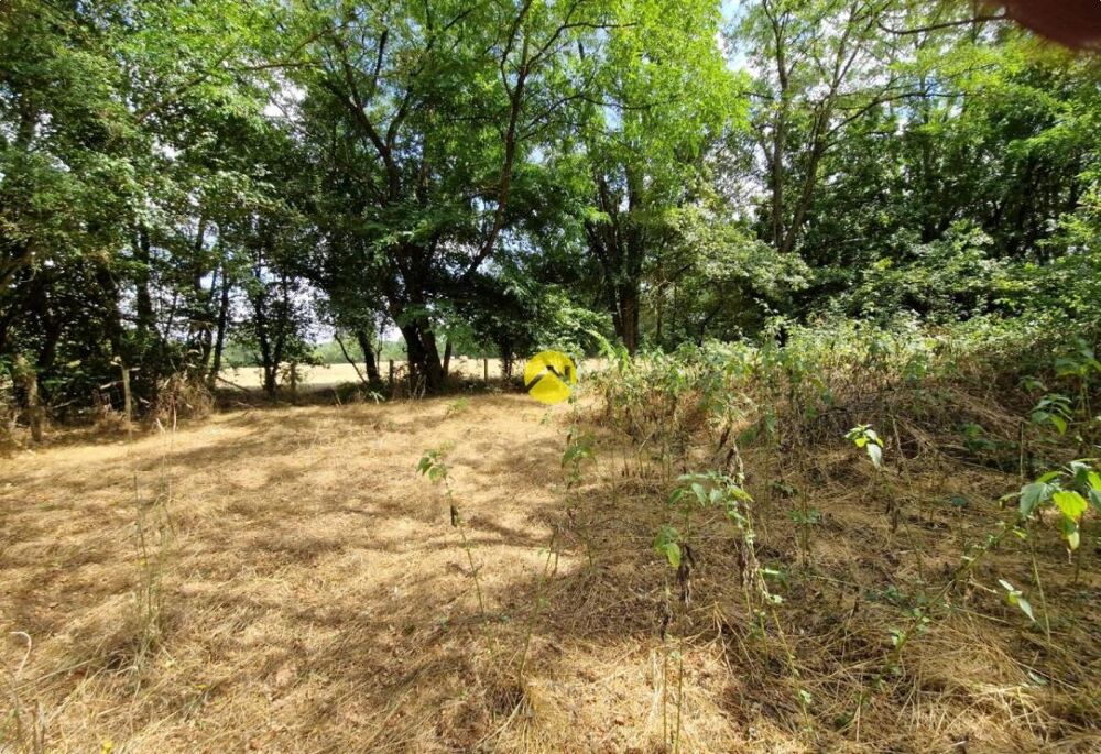 Vente Terrain Terrain constructible de 2505 m² La guerche sur l aubois