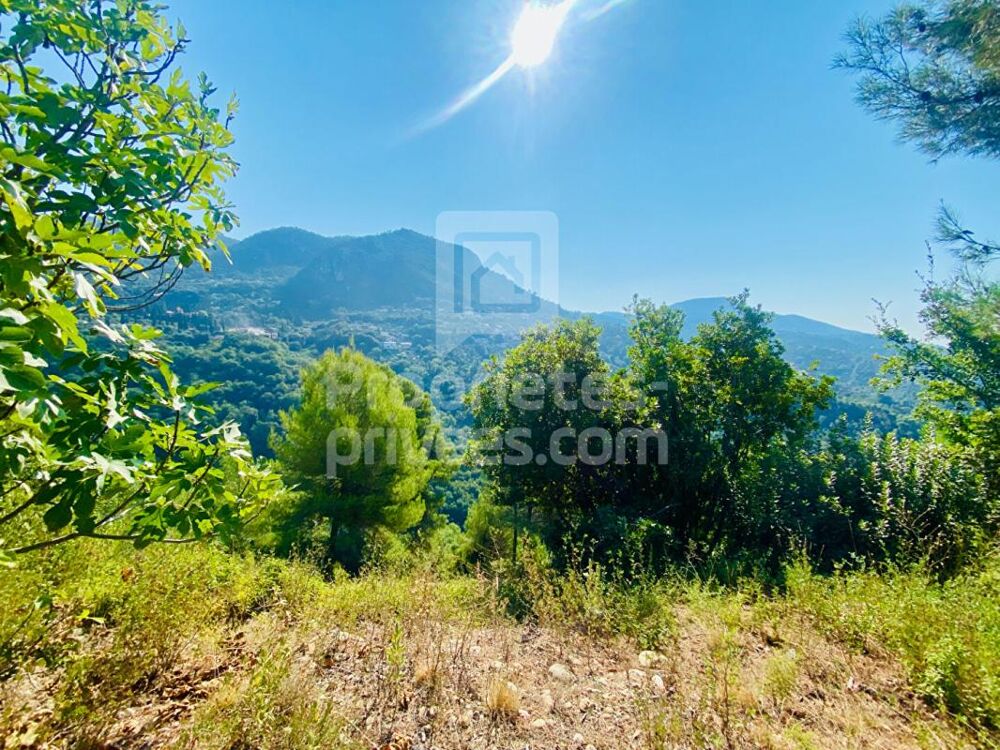 Vente Terrain Terrain Castagniers 1400 m2 Castagniers