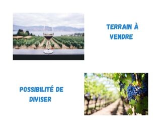  Terrain � vendre 3629 m�