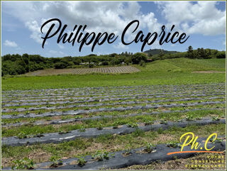  Terrain  vendre 2000 m