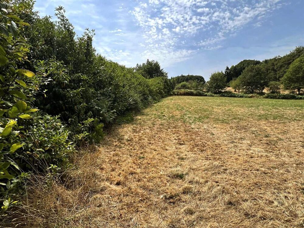 Vente Terrain Terrain La Coquille 6755 m2 La coquille