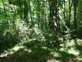  Terrain � vendre 8000 m�