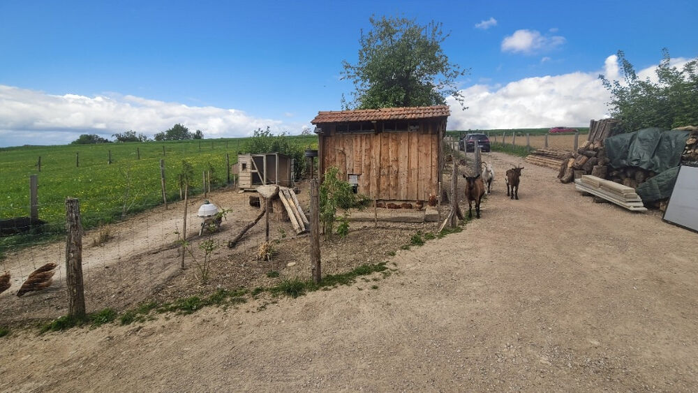 Vente Terrain Terrain agricole aménagé de 3 000 m² ? Chalets, puits et enclos ? Idéal apiculture, verger ou petit élevage Soultz sous forets