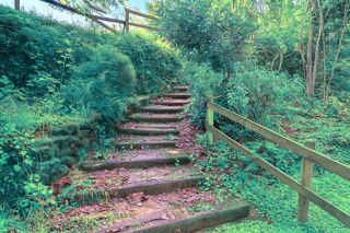  Maison � vendre 14 pi�ces 367 m�