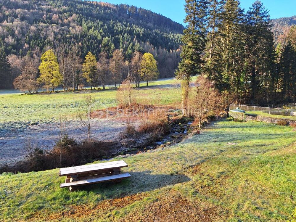 � vendre  Propri�t�/ch�teau Stosswihr (68140)
