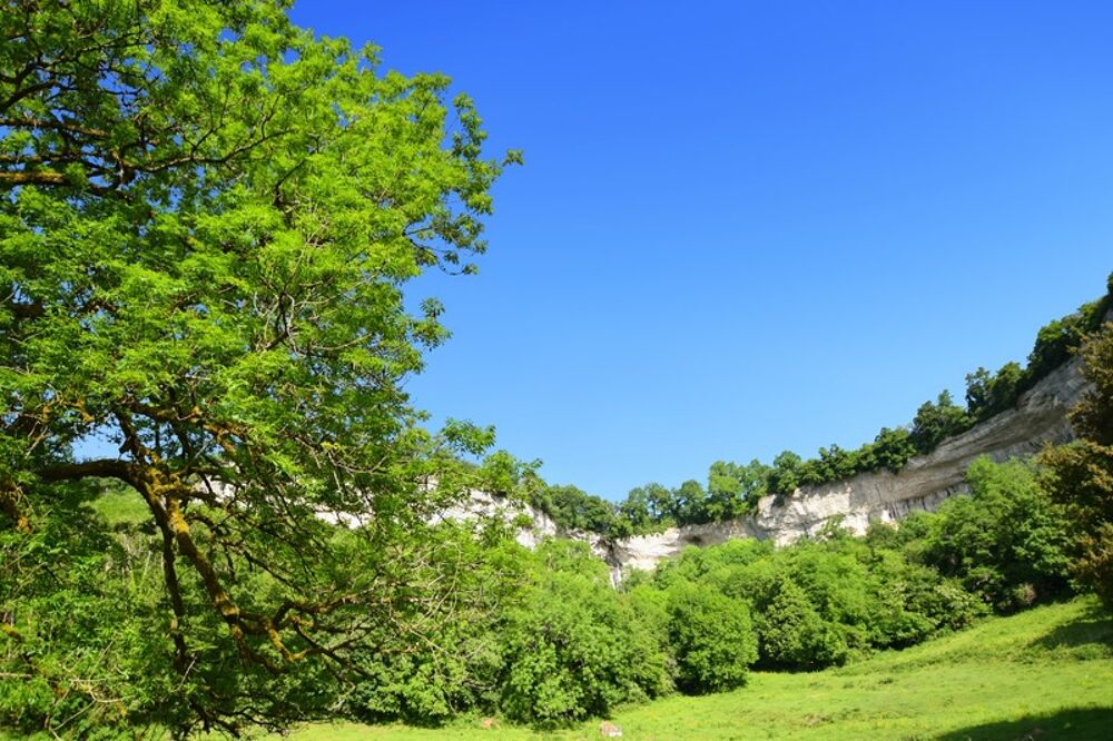 Vente Terrain Terrain à bâtir sur une parcelle de 3950 m2 à vendre à Cormot VAUCHIGNON (21) Vauchignon