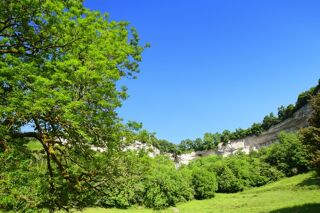  Terrain à vendre 3950 m²