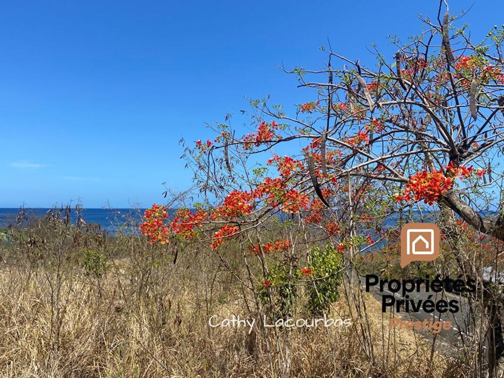 Vente Terrain EXCLUSIVITÉ : TERRAIN TOURISTIQUE AVEC VUE MER EXCEPTIONNELLE, BOUILLANTE-Guadeloupe Bouillante