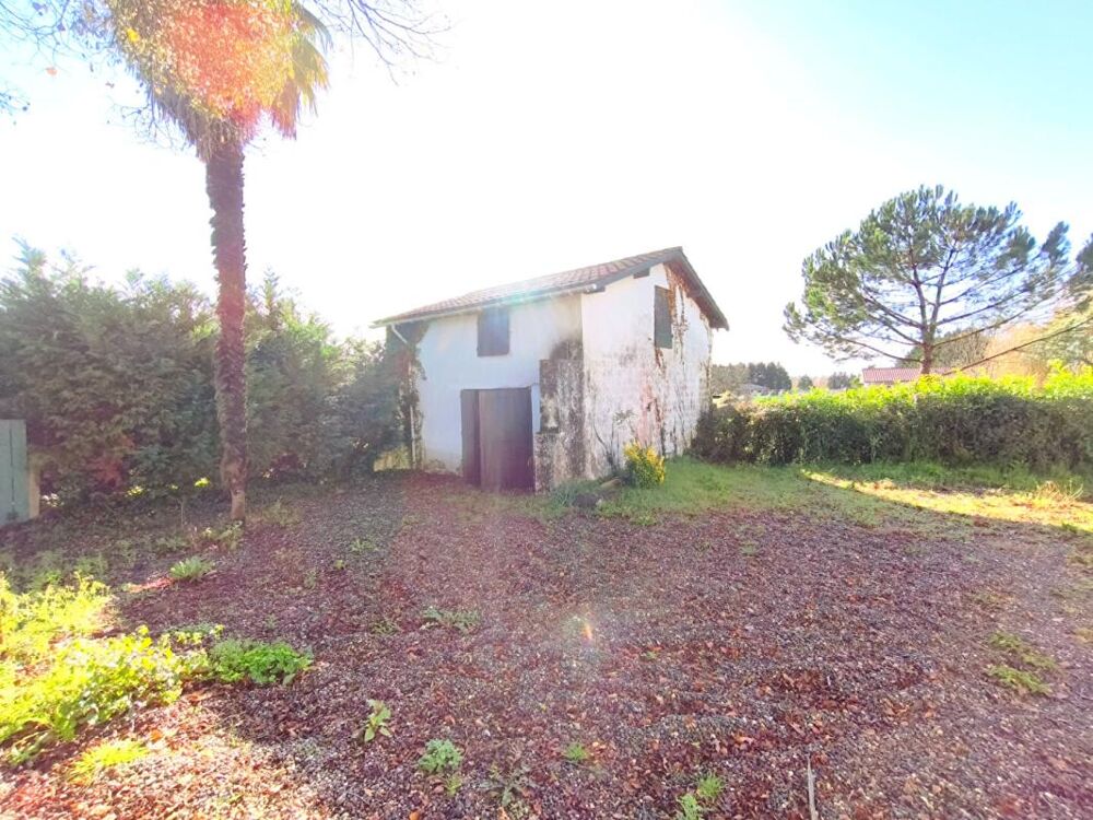 Maison Poyartin 4 pièce(s) 154 m2 plus garage 65 m2 et dépendance 37m2