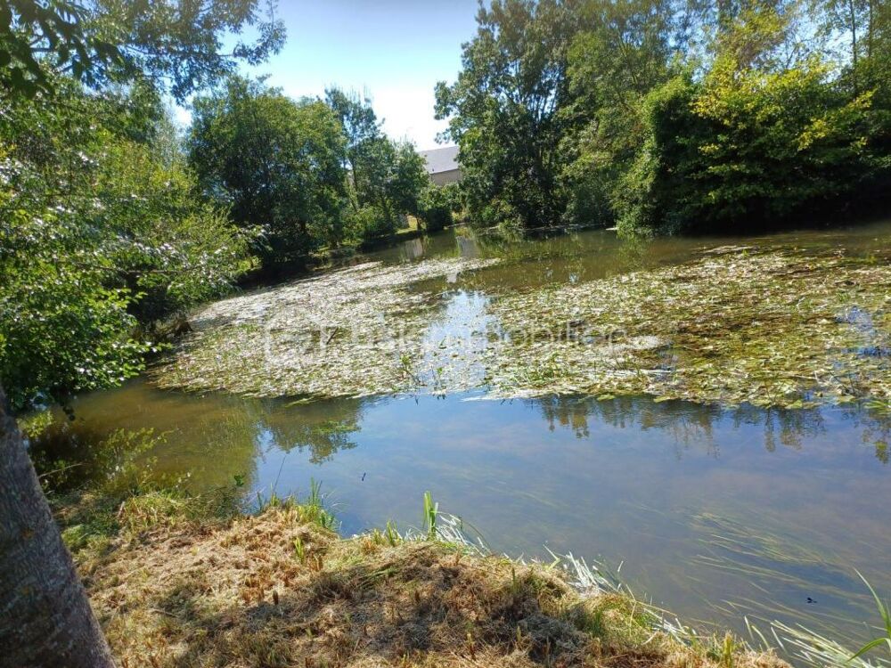 Vente Terrain Terrain de loisirs exceptionnel de 8000m2 Niherne