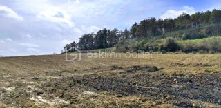  Terrain à vendre 10175 m²