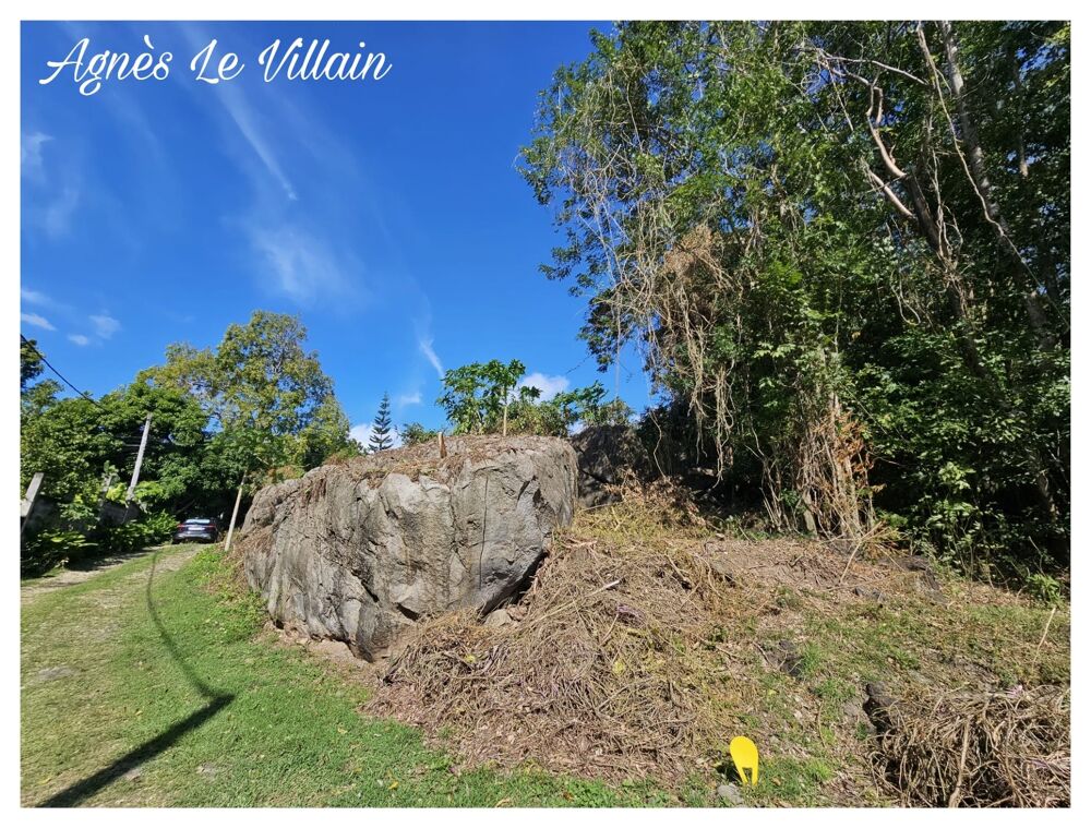 Vente Terrain Terrain Vue Mer Grosses Roches de 1 041 m2 Pointe noire