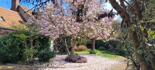  Propri�t�/ch�teau � vendre 9 pi�ces 250 m�