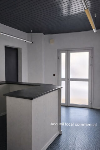  Immeuble à vendre 15 + pièces 362 m²