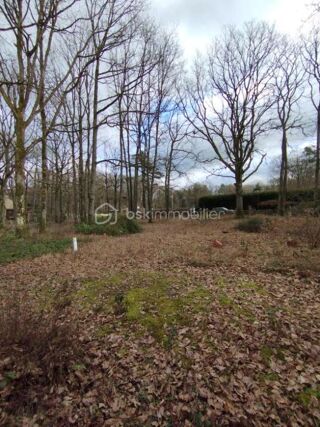  Chalet � vendre 3 pi�ces 39 m� Saint firmin des bois