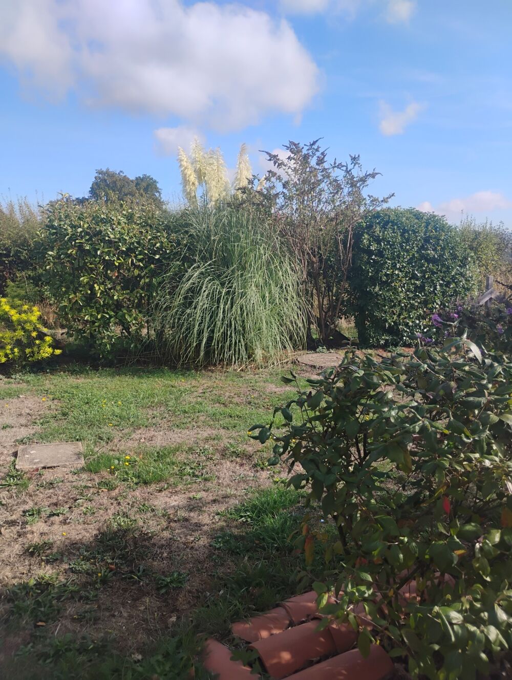 Vente Maison Belle Maison 8 pièces véritable cocooning LIGNY EN BRIONNAIS (71) Ligny en brionnais