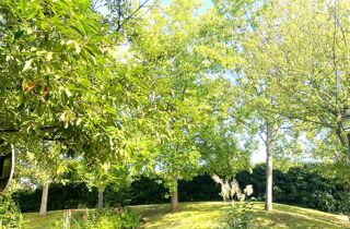  Appartement � vendre 10 pi�ces 196 m�