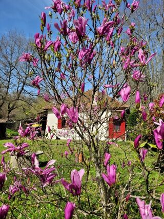  Maison � vendre 3 pi�ces 90 m�