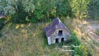  Propriété/château à vendre 15 + pièces 984 m²