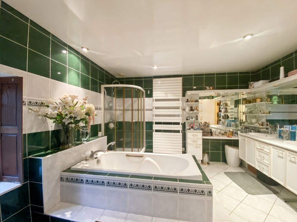 à vendre  Propriété/château Thuré (86540)