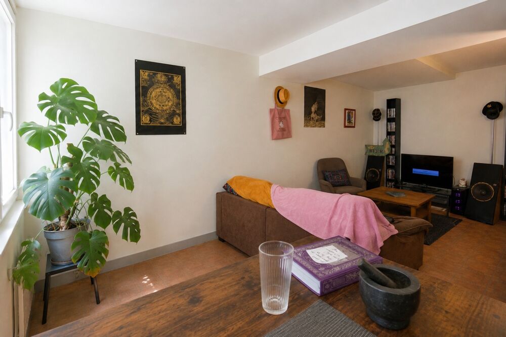 Vente Appartement Appartement à vendre 2 pièces LYON 9EME ARRONDISSEMENT (69) - Quai de Scize Lyon 9