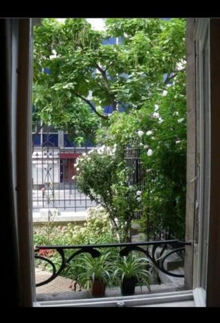  Appartement à louer 1 pièce 18 m²