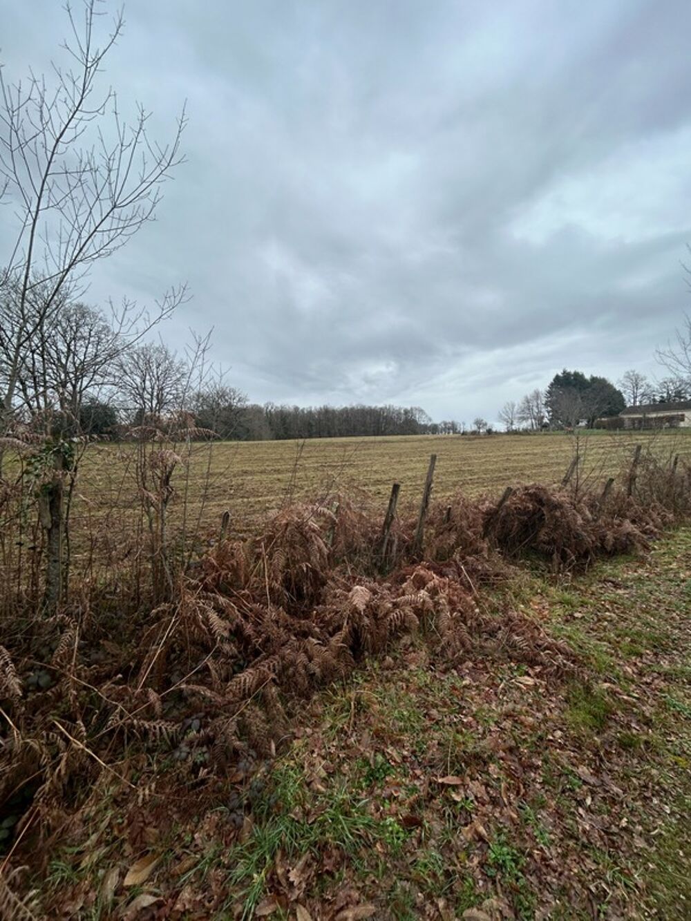 Vente Terrain Terrain à vendre de 1 000,00 m² SAINT AMAND MAGNAZEIX (87) Saint amand magnazeix