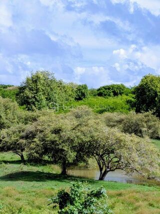  Appartement � vendre 3 pi�ces 60 m�