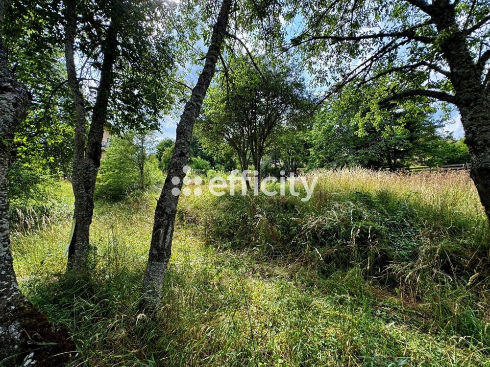 Vente Terrain Terrain Laye
