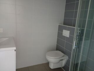  Appartement à louer 3 pièces 56 m²