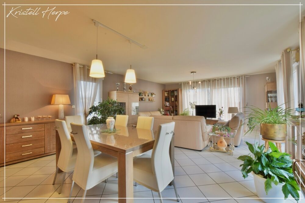 Vente Maison Dpt Finistère (29), à vendre CARHAIX PLOUGUER maison P9 de 232 m² - Terrain de 2133 m² Carhaix plouguer