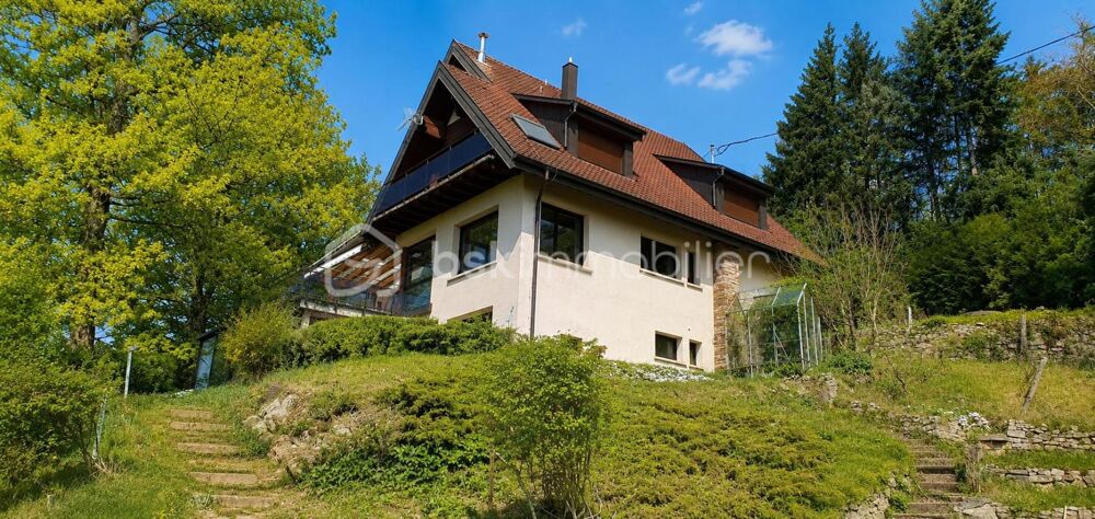Belle propriété à vendre sur la commune d'Andlau