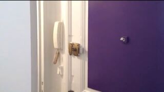  Appartement à louer 1 pièce 15 m²