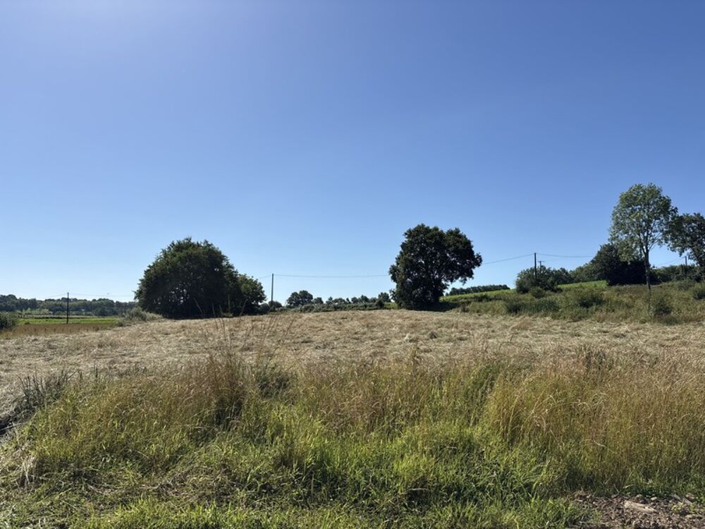 Vente Terrain Proche Orthez (64) - À VENDRE - Terrain constructible de 1,4ha idéal promoteur ou lotisseur Orthez