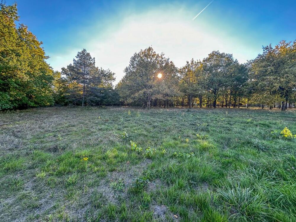 Vente Terrain Terrain Langon Sur Cher 17400 m2 Langon sur cher