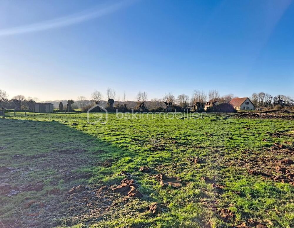 Vente Terrain Beau terrain à bâtir de 993 m², dans le centre de Beuzeville ! Beuzeville