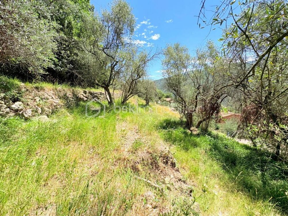 Vente Terrain ? Terrain constructible – Pierrefeu (06910) ? Pierrefeu