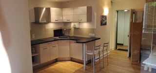  Appartement à louer 1 pièce 30 m²