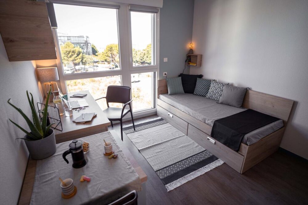 Spécial Investisseur Campus des Minimes Studio 17.30m²