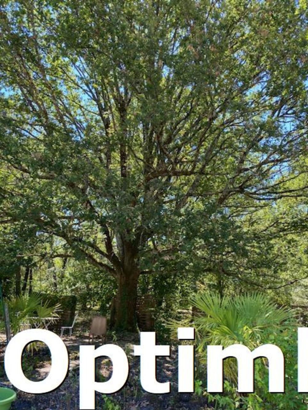 � vendre  Propri�t�/ch�teau Blanquefort (33290)