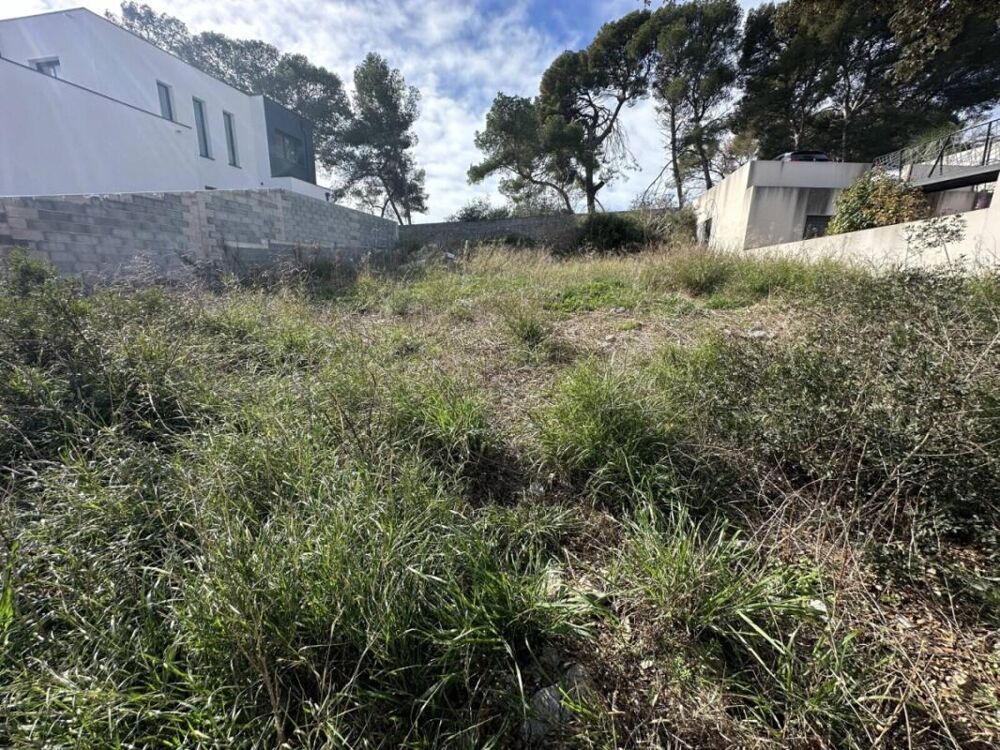Vente Terrain Terrain - Frontignan - 515m² Frontignan