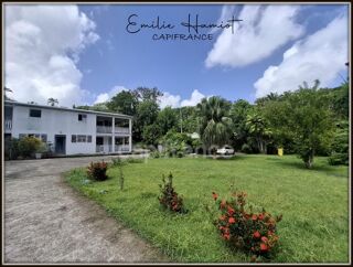  Immeuble � vendre 15 + pi�ces 334 m�