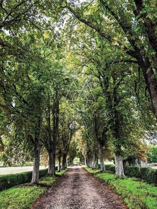  Propriété/château à vendre 15 + pièces 1200 m²