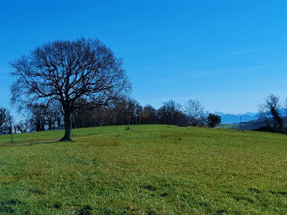  Terrain à vendre 30000 m²