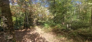 Vente Terrain Bois à vendre, LAGRANGE (40) Lagrange