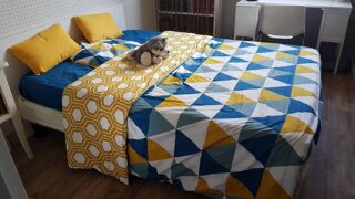  Appartement  louer 1 pice 13 m