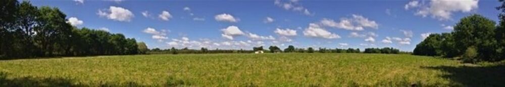 Vente Terrain Terrain agricole plat d'un seul tenant de 11,93 hectares Mont de marsan