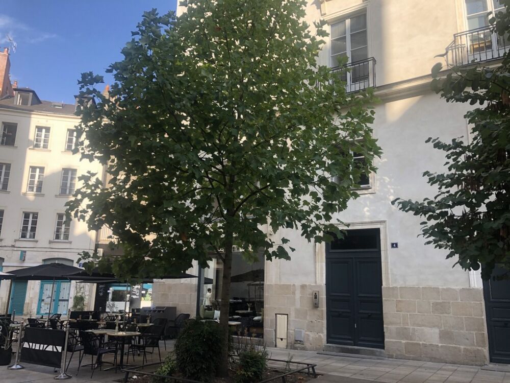 T2 avec cave à Nantes