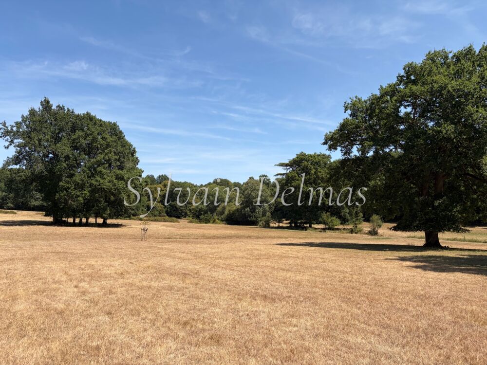 à vendre  Propriété/château Loches (37600)