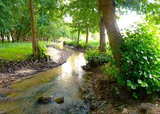  Moulin � vendre 6 pi�ces 193 m�